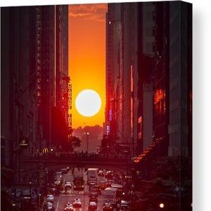 Meet your Posher, Anibal